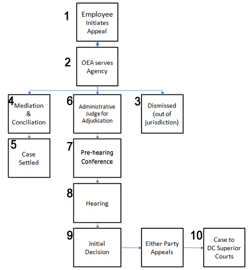 flow diagram of the appeals process